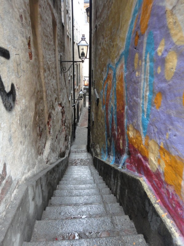 DSC04305 [800x600].jpg