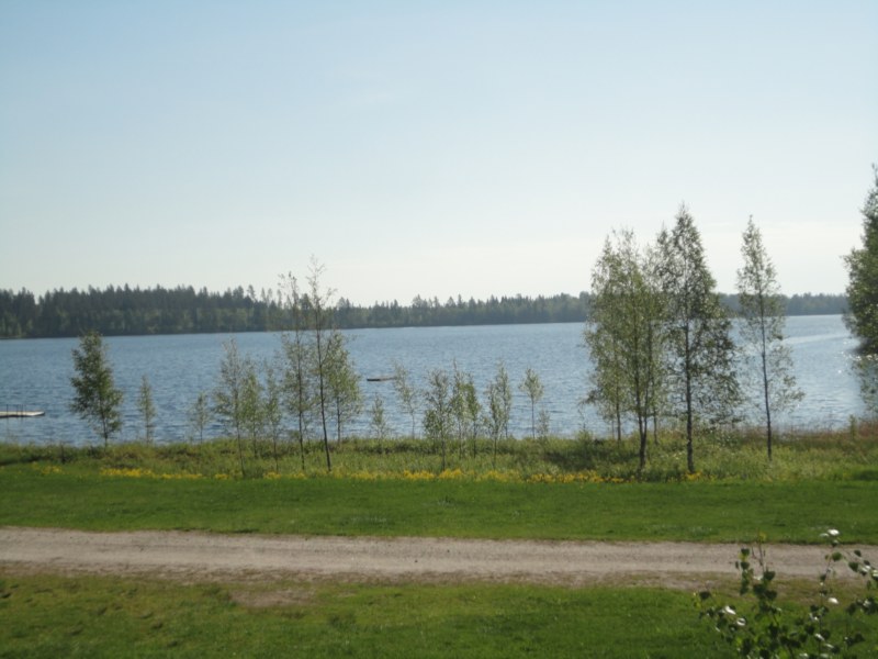 DSC04341 [800x600].jpg
