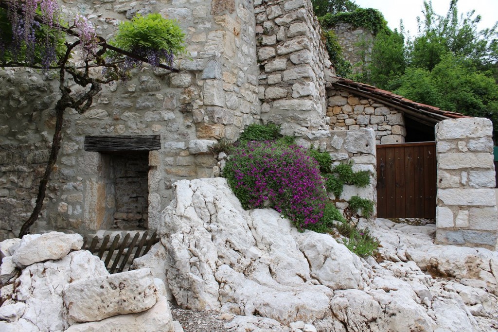 Leyme2013 250 (Copier).JPG