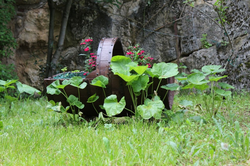 Leyme2013 264 (Copier).JPG
