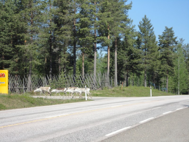 DSC04432 [800x600].jpg