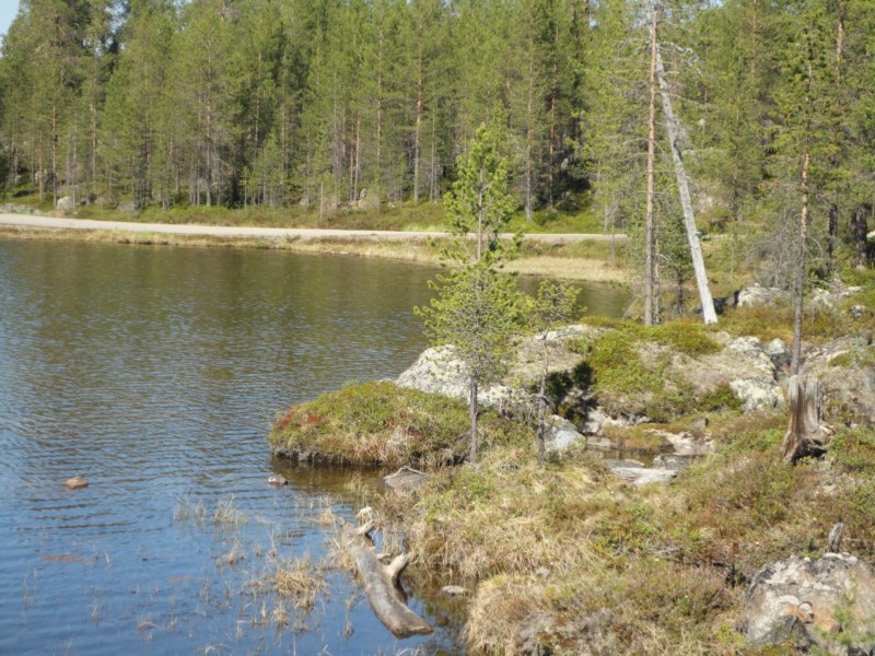 DSC04461 [800x600].jpg