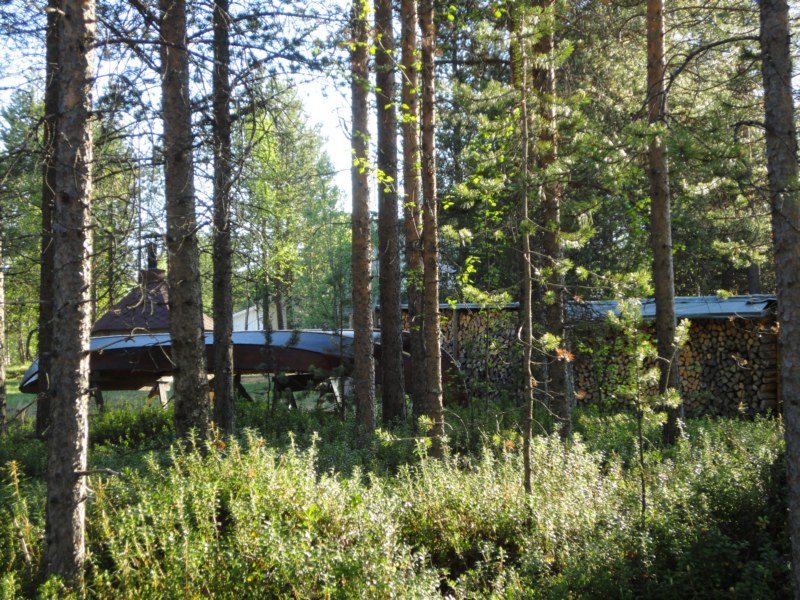 DSC04466 [800x600].jpg