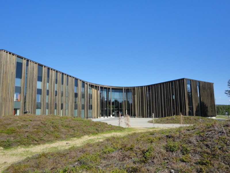 DSC04474 [800x600].jpg