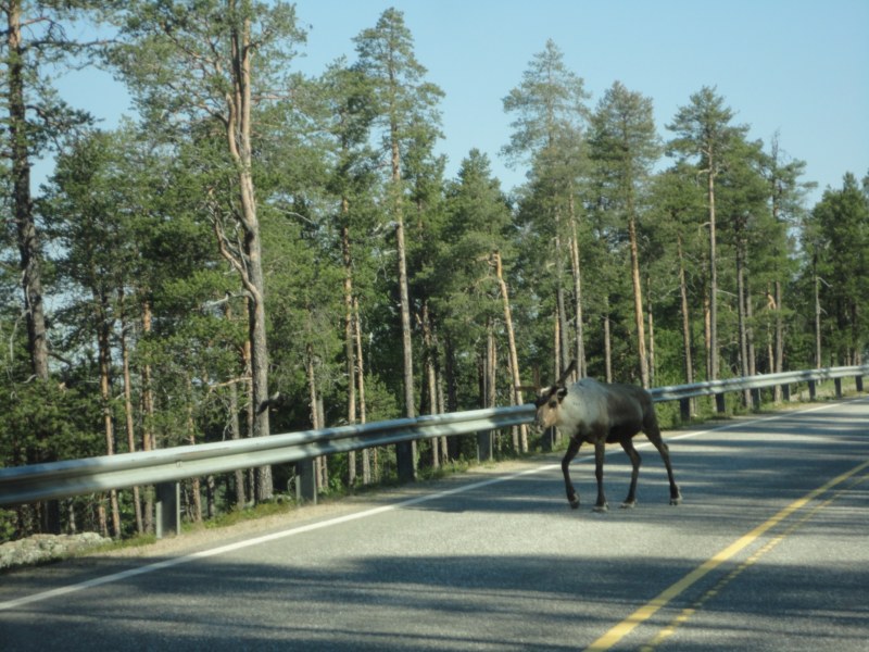 DSC04476 [800x600].jpg