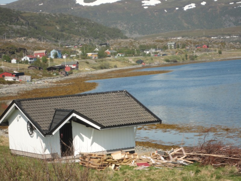 DSC04525 [800x600].jpg