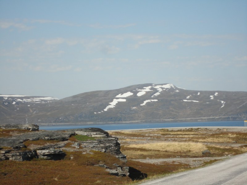 DSC04529 [800x600].jpg