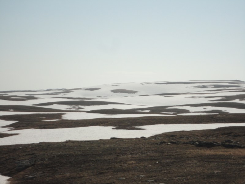 DSC04548 [800x600].jpg