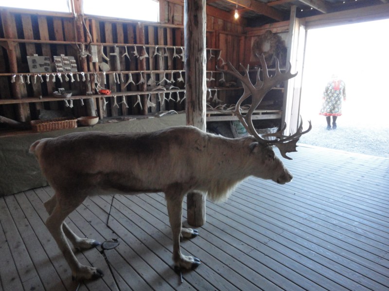 DSC04564 [800x600].jpg