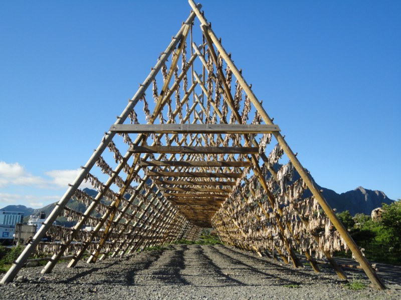 DSC04750 [800x600].jpg