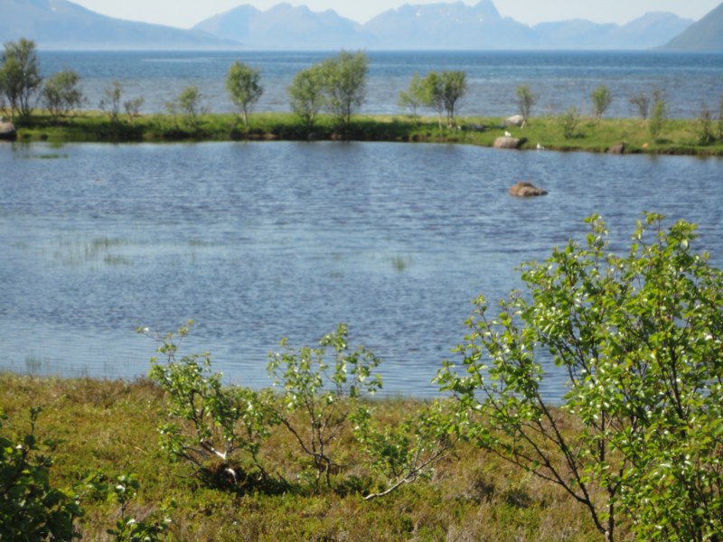 DSC04843 [800x600].jpg