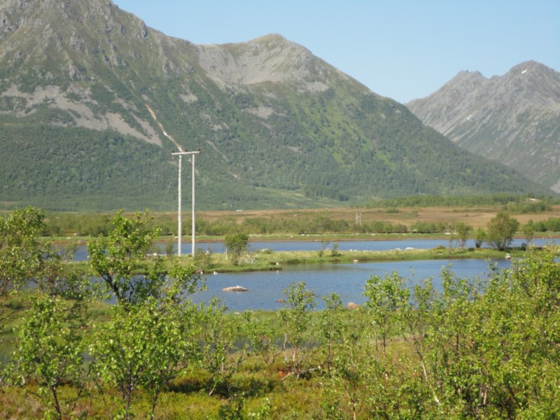 DSC04847 [800x600].jpg