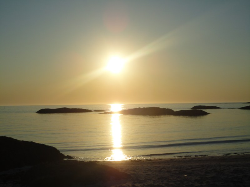 DSC04872 [800x600].jpg