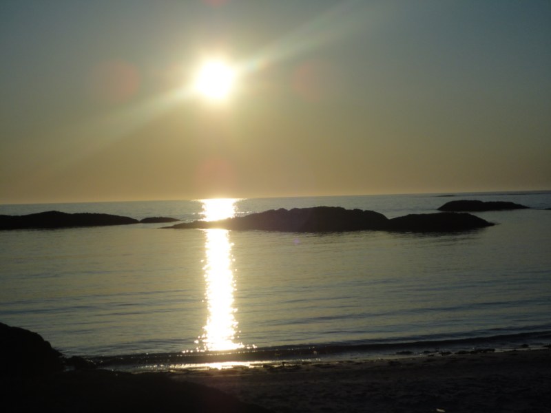 DSC04874 [800x600].jpg