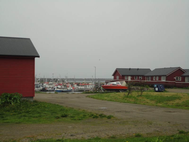 DSC04895 [800x600].jpg