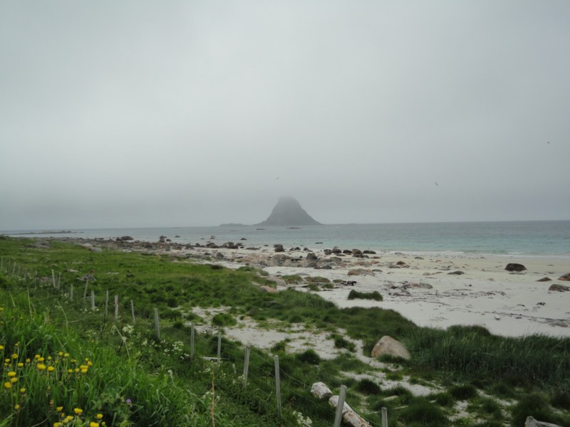 DSC04918 [800x600].jpg