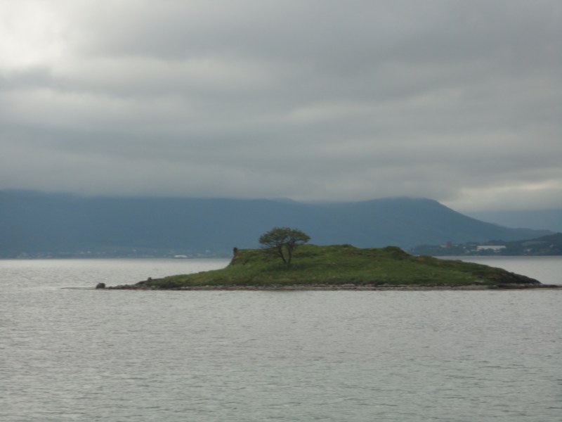 DSC04940 [800x600].jpg