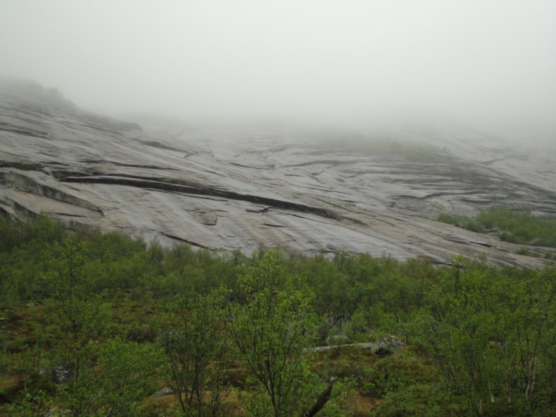 DSC04995 [800x600].jpg