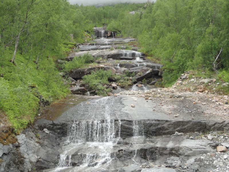 DSC05025 [800x600].jpg