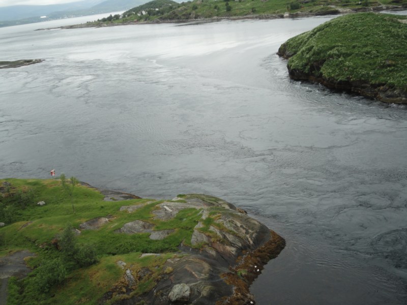 DSC05062 [800x600].jpg