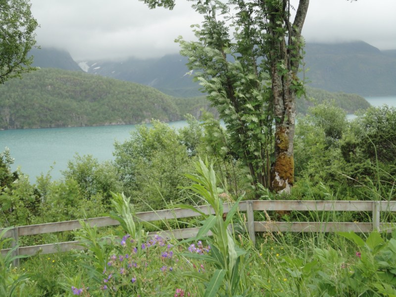 DSC05102 [800x600].jpg