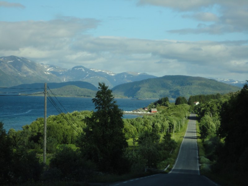 DSC05231 [800x600].jpg