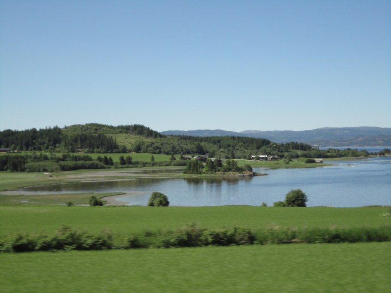 DSC05256 [800x600].jpg