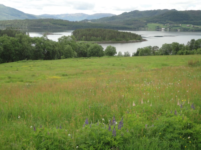 DSC05315 [800x600].jpg