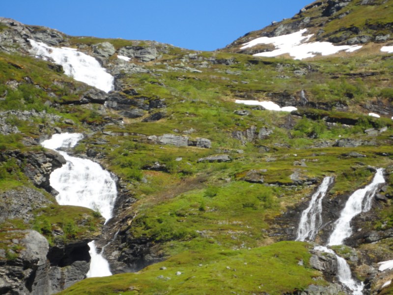 DSC05418 [800x600].jpg