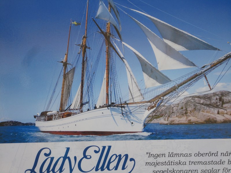 DSC05696 (Copier).JPG