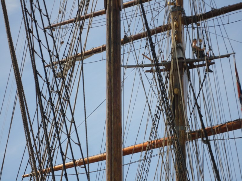 DSC05702 (Copier).JPG