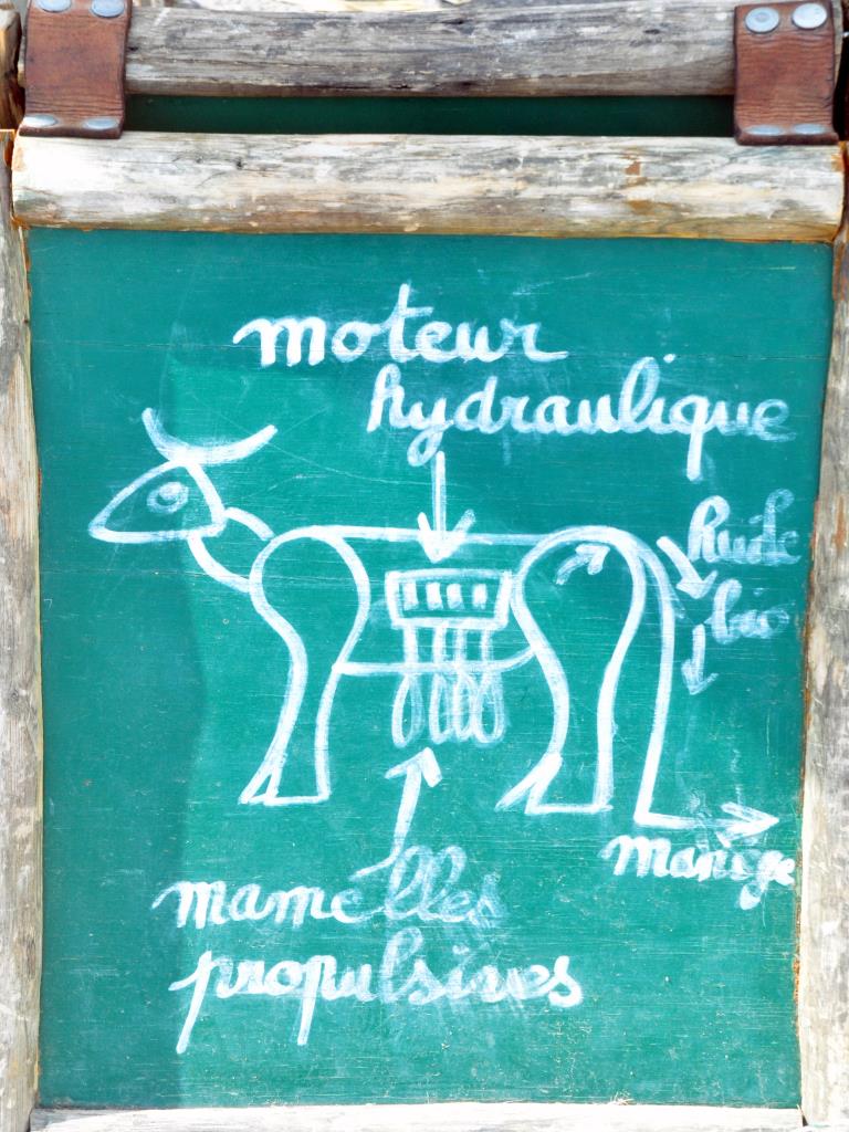 Manège_04.jpg
