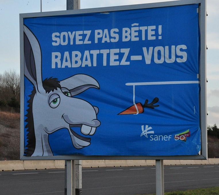 Sanef.JPG