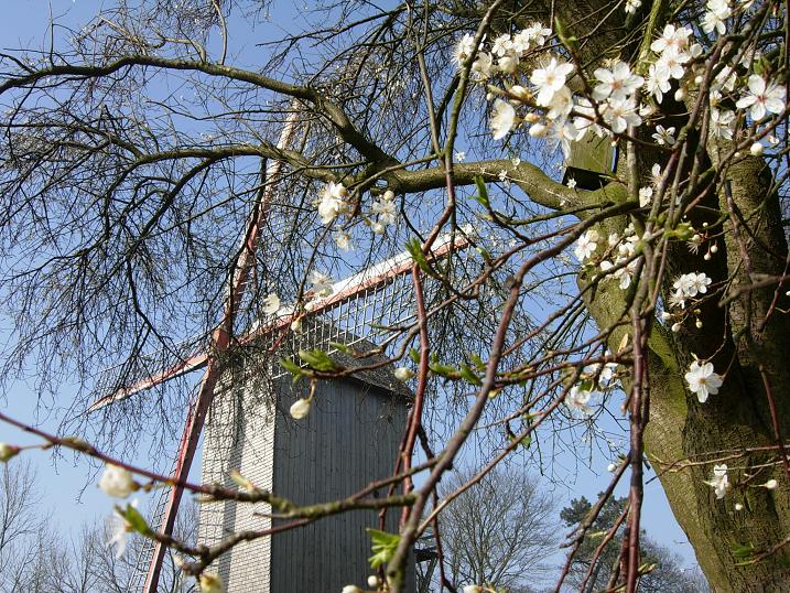 le moulin du mont cassel