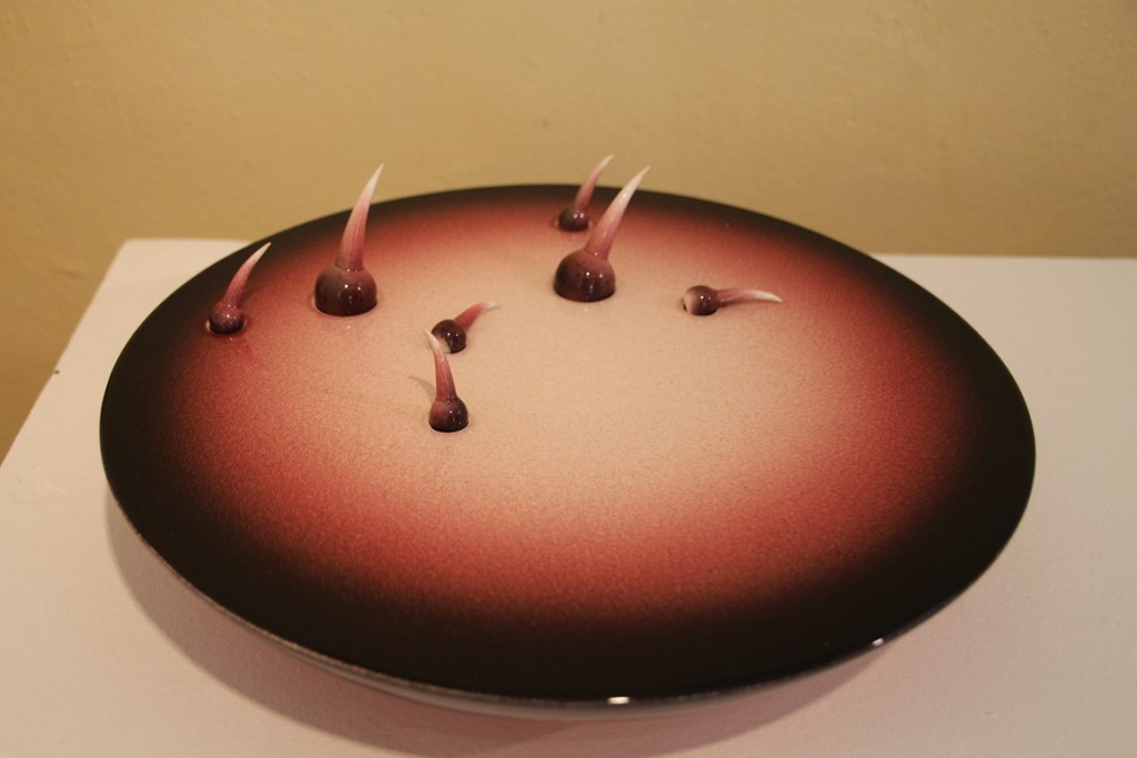 Puisaye forterre 094 (Copier).JPG