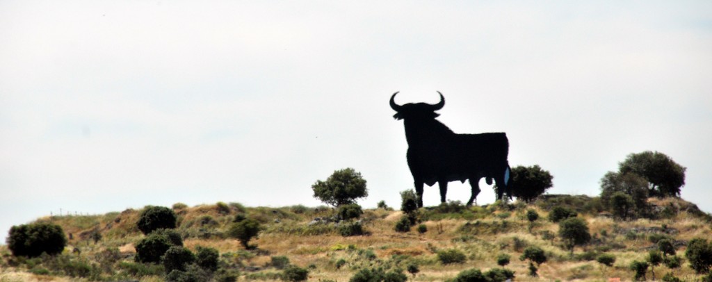 El Toro.jpg