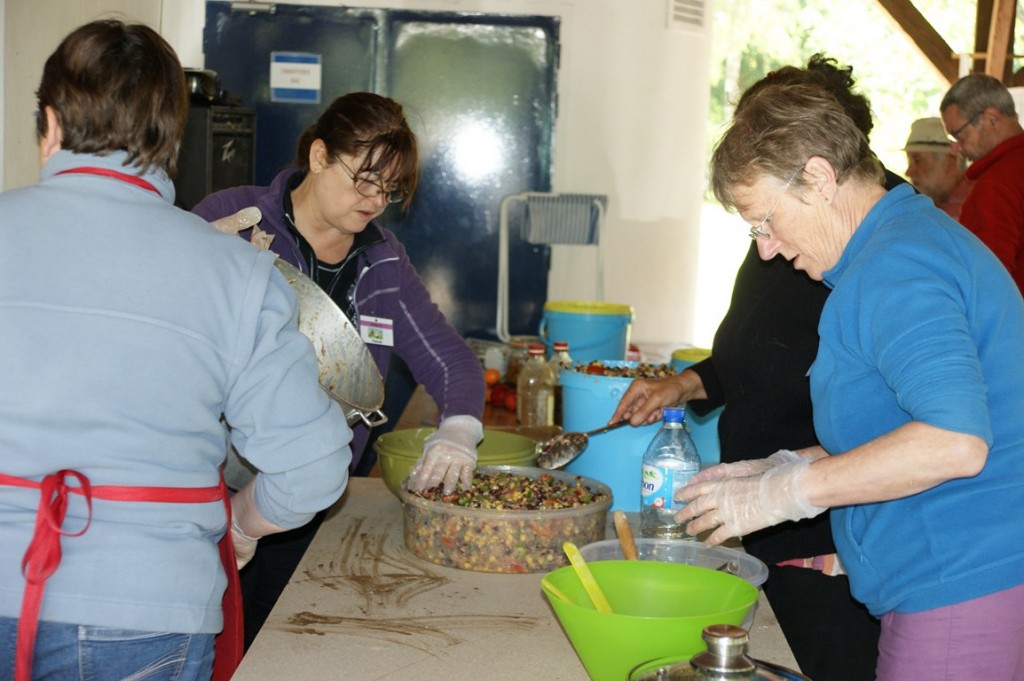 DSC04376 (Copier).JPG