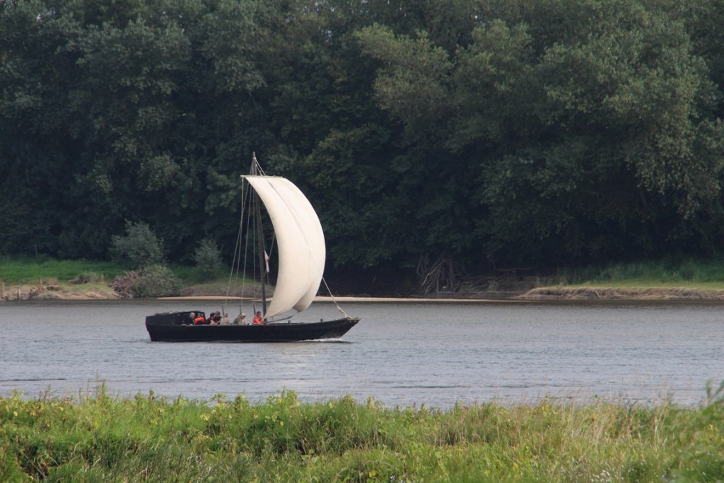 loireàvélo2014 061 (Copier) (Copier).JPG