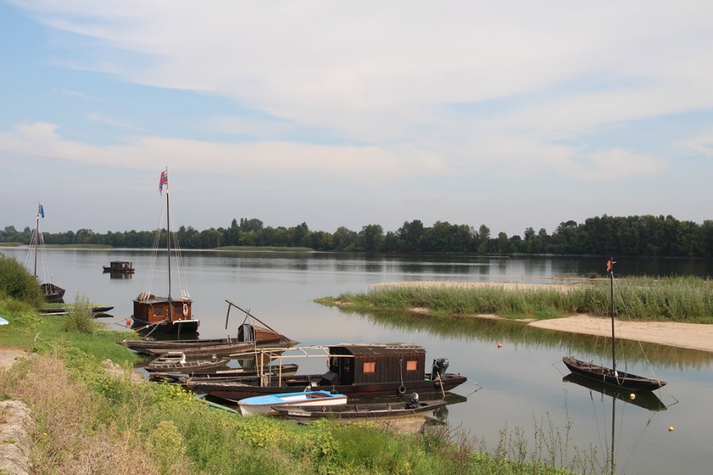loireàvélo2014 157 (Copier).JPG