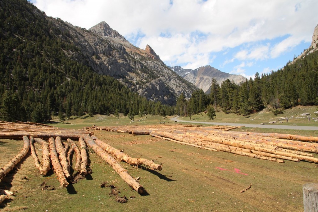 La clarée0514 017 (Copier).JPG