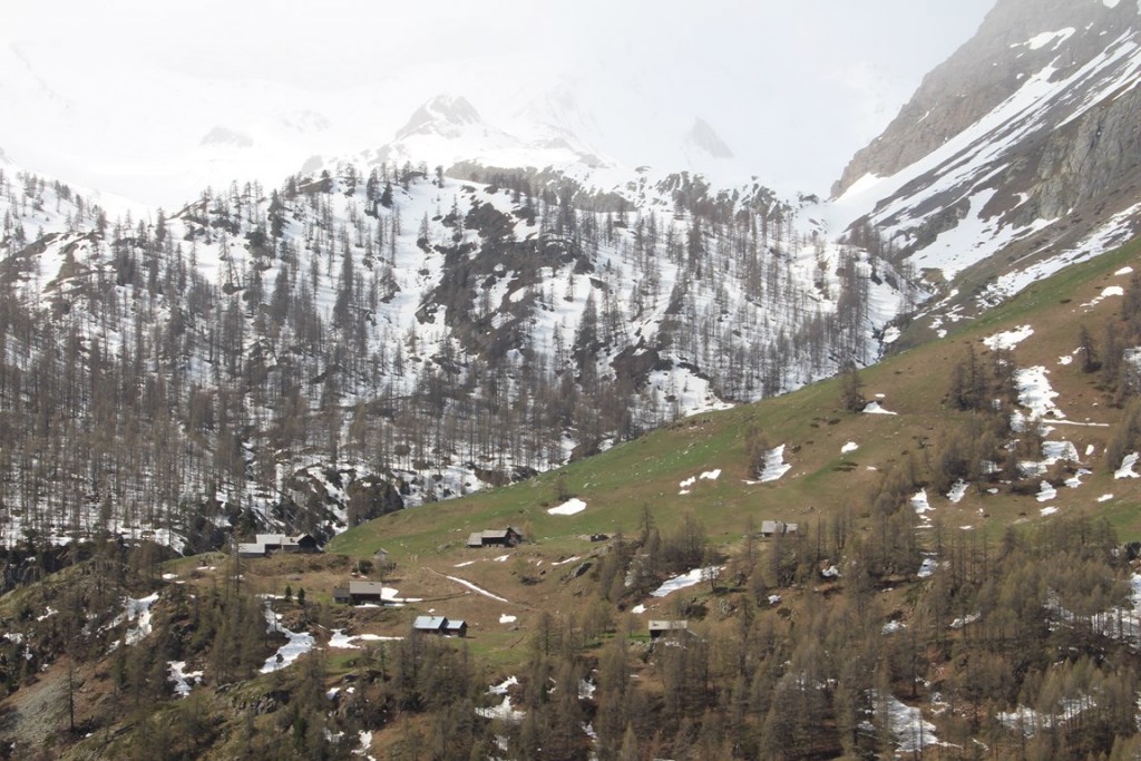 La clarée0514 130 (Copier).JPG