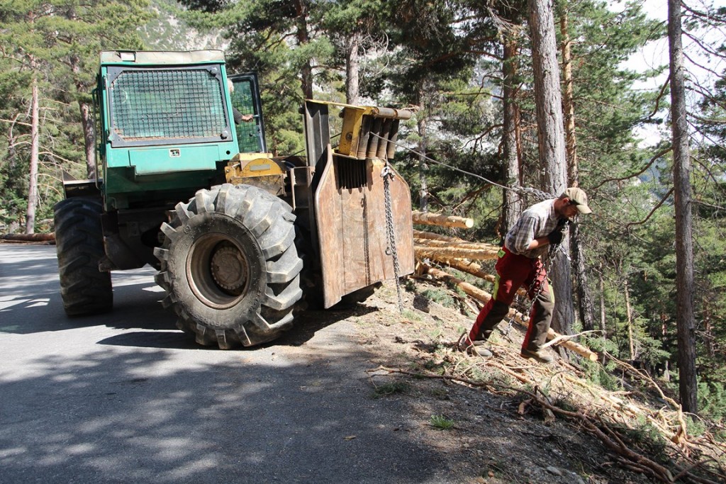 La clarée0514 199 (Copier).JPG