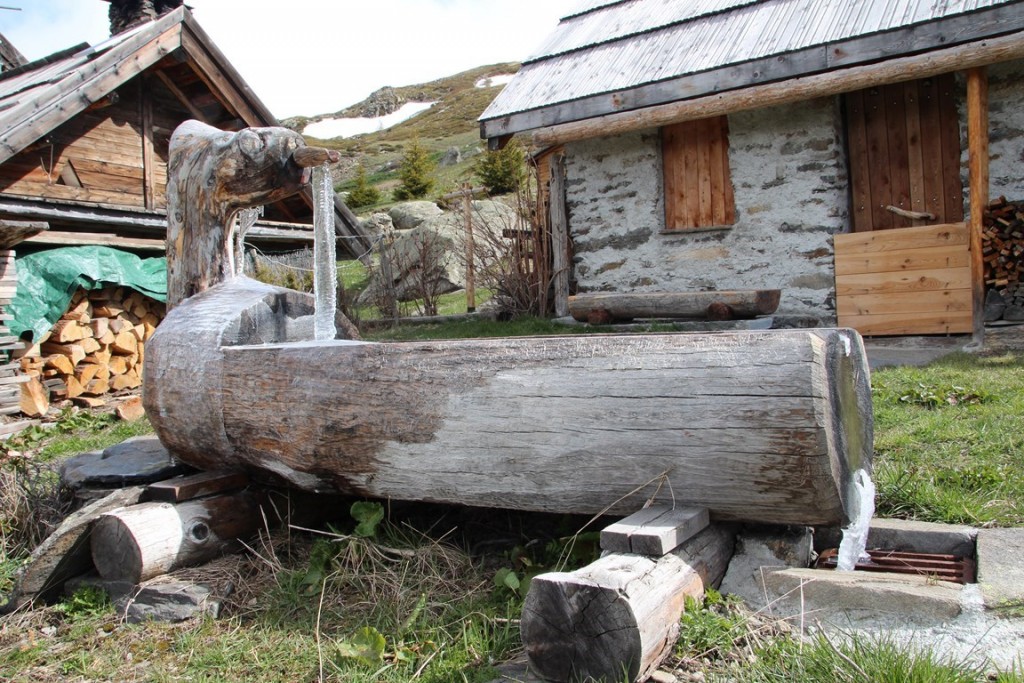 La clarée0514 246 (Copier) (Copier).JPG