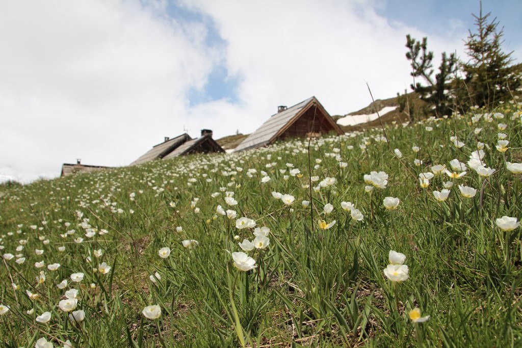 La clarée0514 318 (Copier).JPG