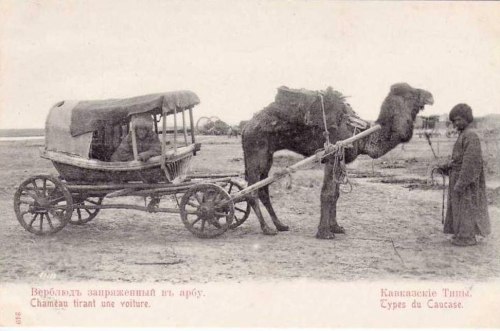 le-tracteur-en-voie-de-disparition-500.jpg