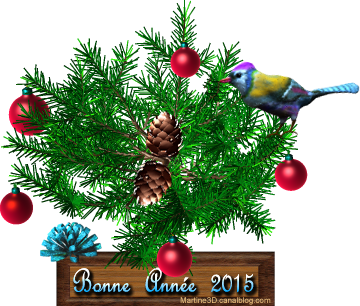 BONNE ANNEE 2015.png
