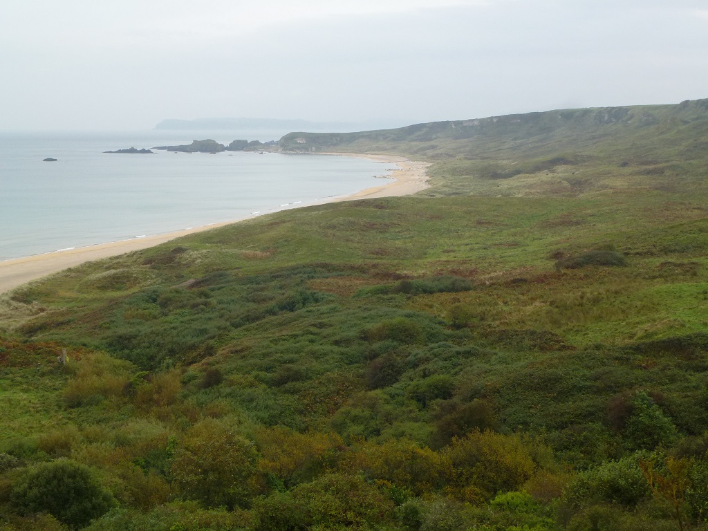 P1020433.JPG
