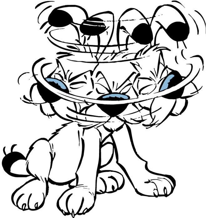 idefix1.jpg