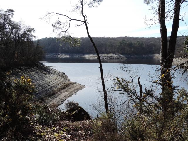 Lac4.jpg
