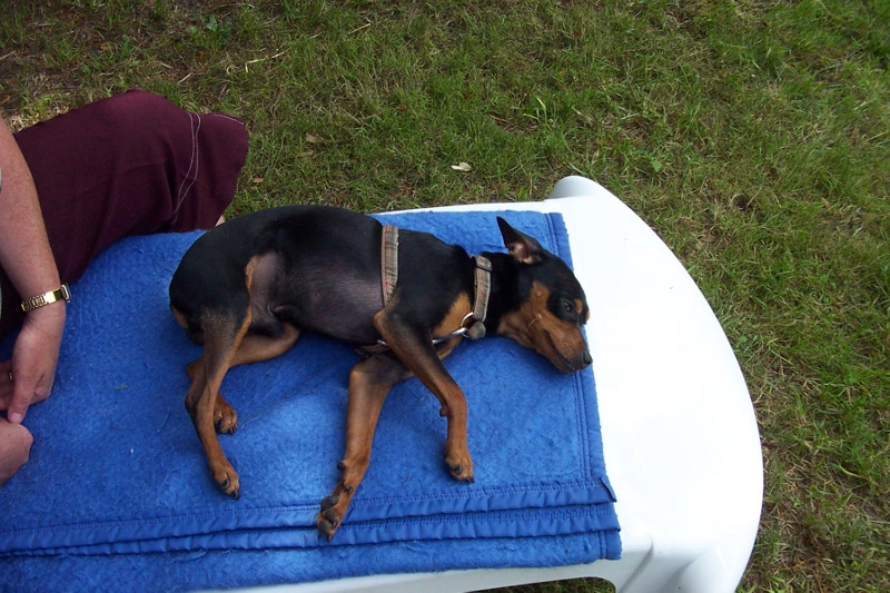 Vacances Royan 013.JPG